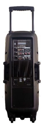 Bafle Doble 10 Moon Potenciado Wild210a Entrada De Mic - Image 3