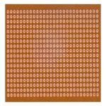 Placa Experimental Islas Redondas 10x10 Electroquimica Delta