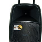 Bafle De 12 Con Usb, Sd, Bt + 2 Microfonos + Control Moon