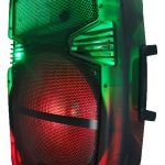 Bafle Inalambrico Bt/fm/control Remoto Con Bateria De 15