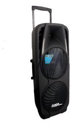 Bafle Doble 10 Moon Potenciado Wild210a Entrada De Mic