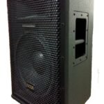 Bafle De Madera 12 Epoxi Moon Stage 12