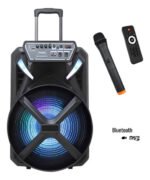 Parlante Karaoke Portátil 12'' Bluetooth Micrófono Inalámb. Negro