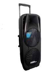 Bafle Doble 10 Moon Potenciado Wild210a Entrada De